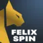 Logo FelixSpin Casino